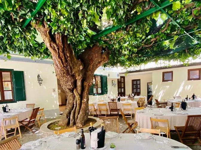 Antica Locanda Al Gelso